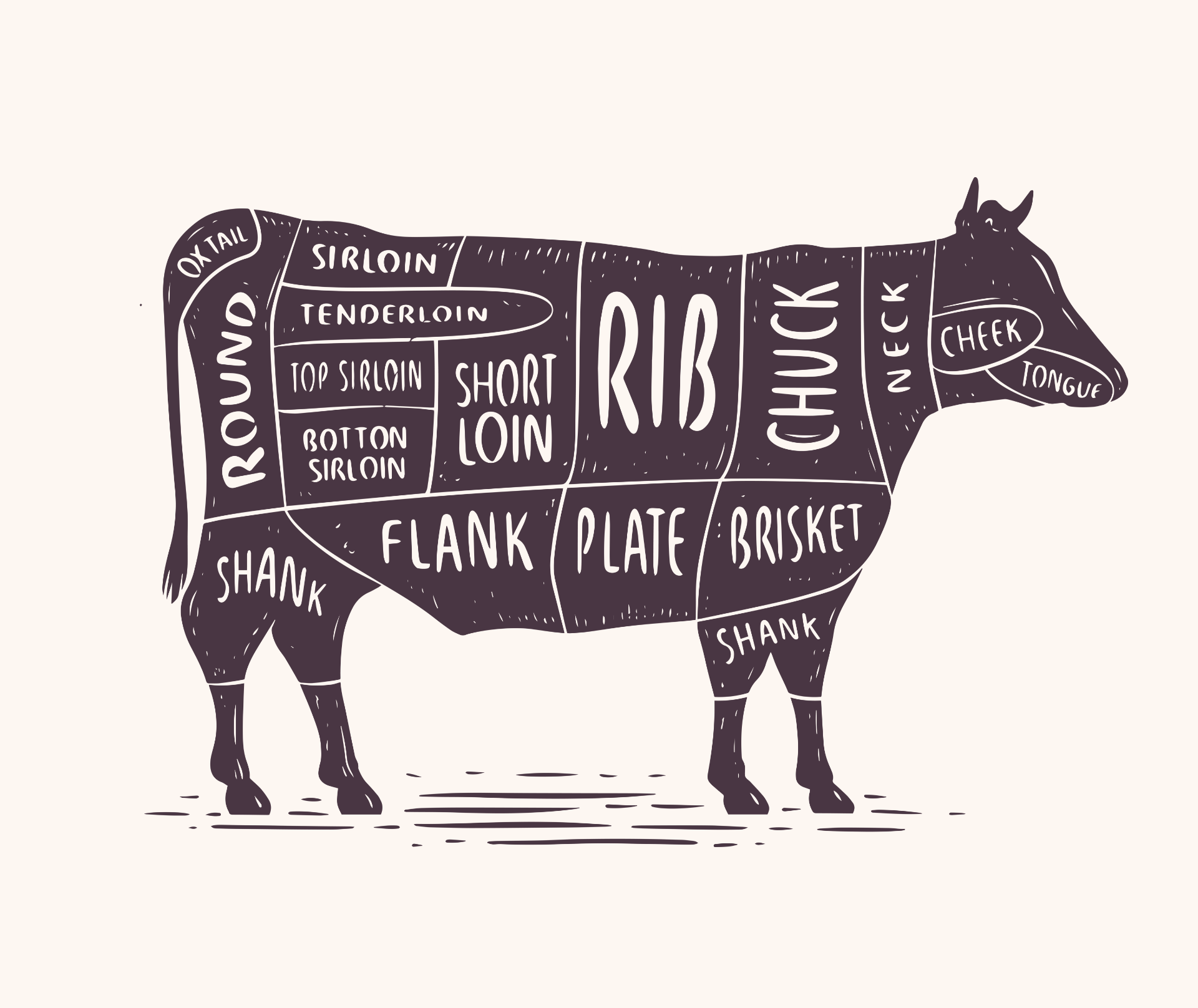 products-pg-beef-up-your-knowledge-main-img@2x